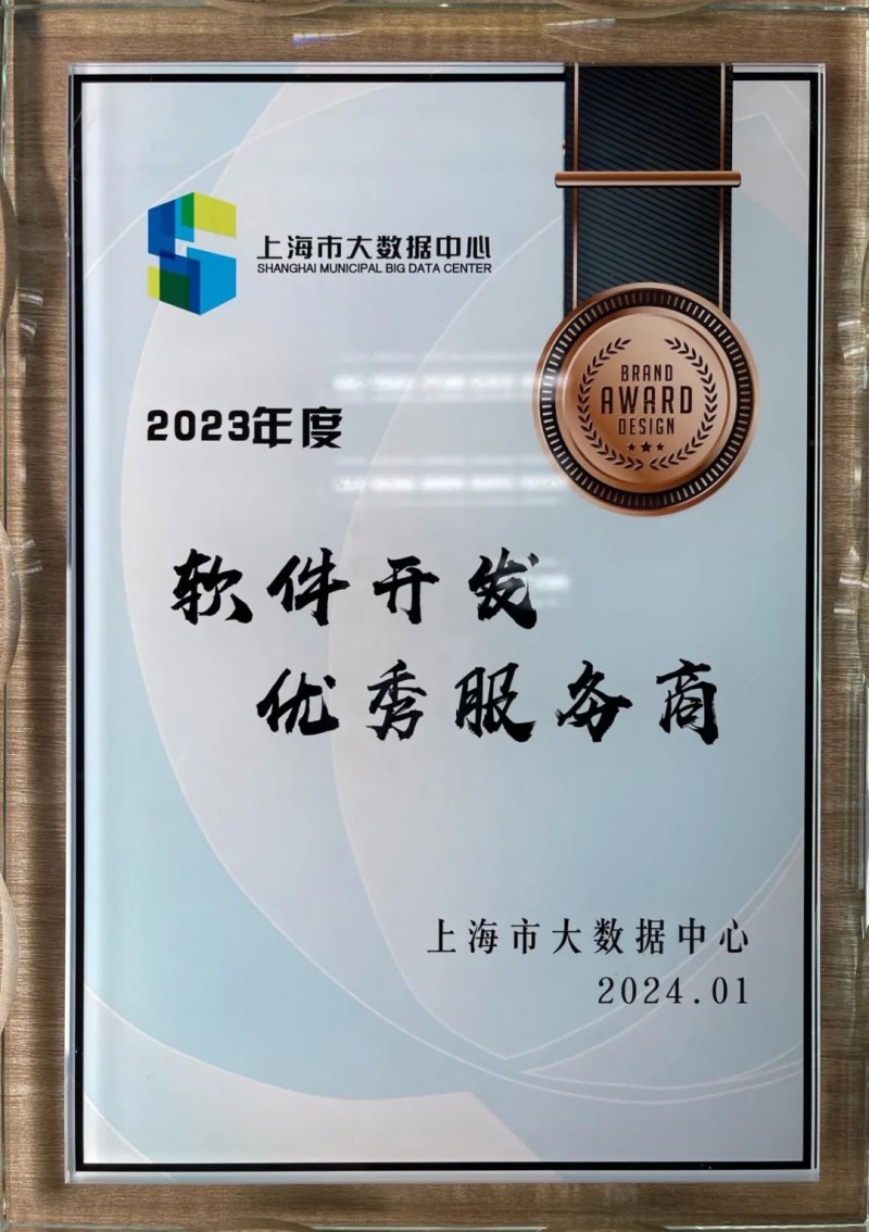 上海软件开发：引领数字化转型的新引擎